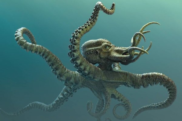 Kraken официальная ссылка
