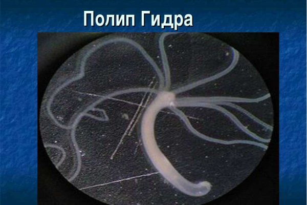 Кракен даркнет отзывы